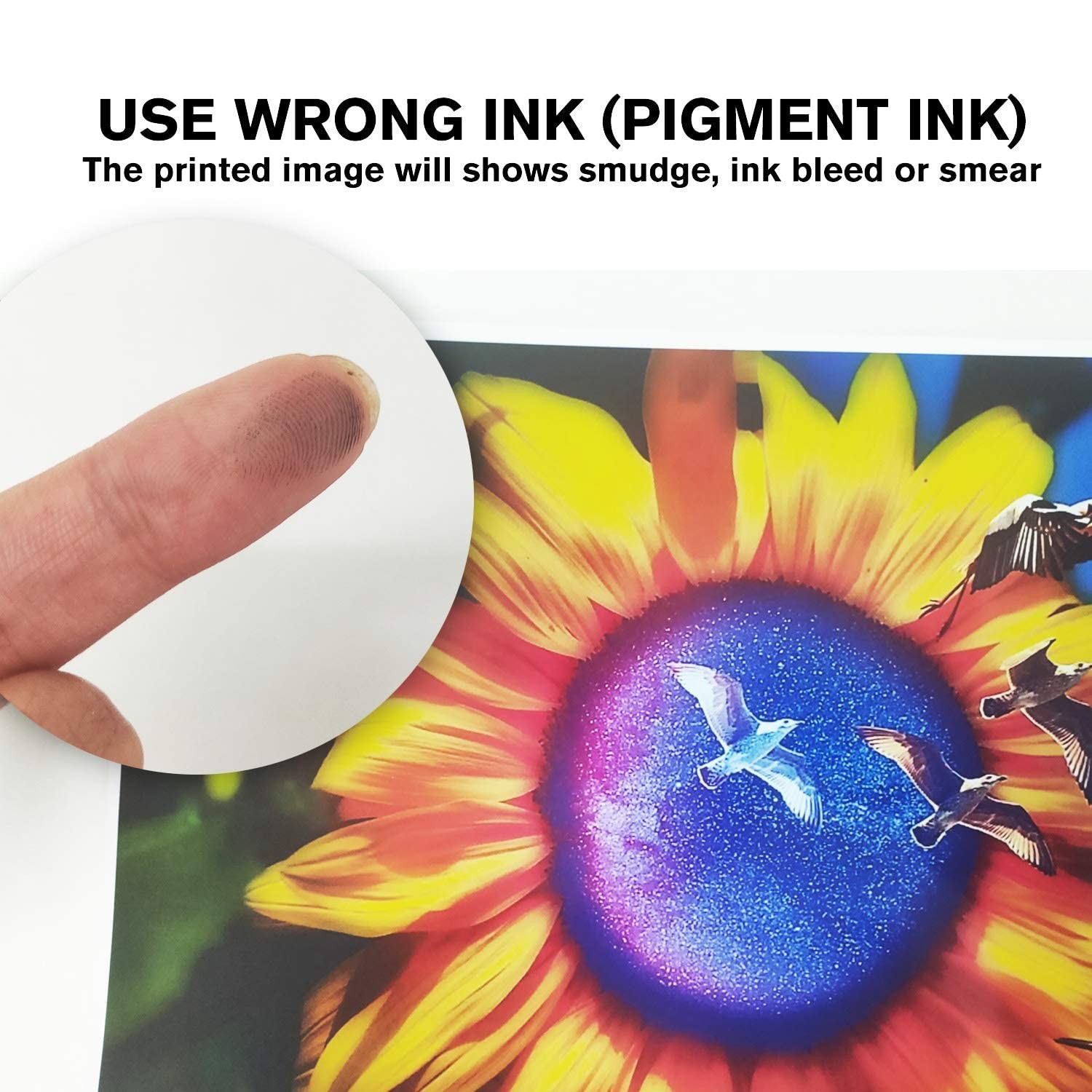 50 Sheets Koala Photo Paper, 13×19, 260gsm, Double Sided, Glossy, Inkjet